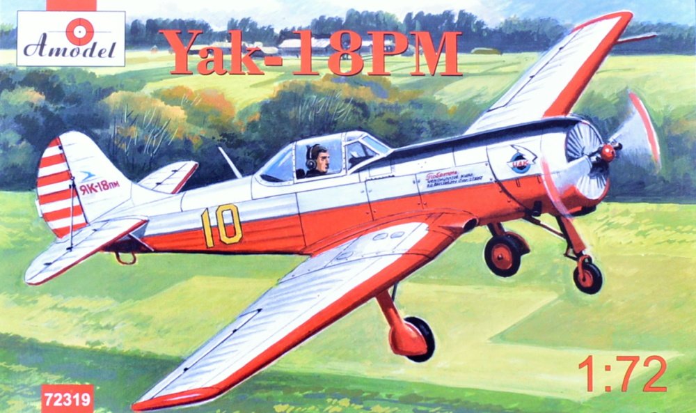 1/72 Yak-18PM (1x camo version)