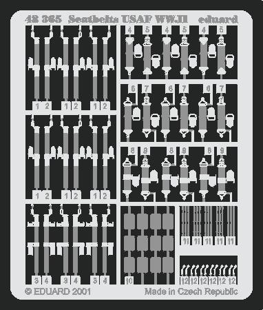 Set Seatbelts USAF WWII